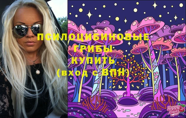 apvp Зеленодольск