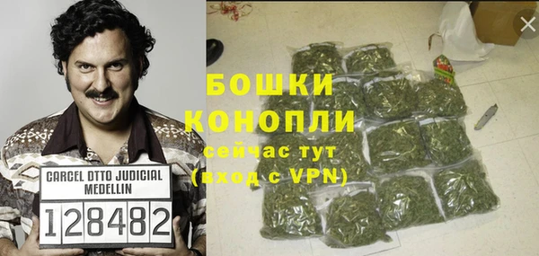 прущие грибы Шарыпово
