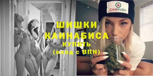 прущие грибы Шарыпово