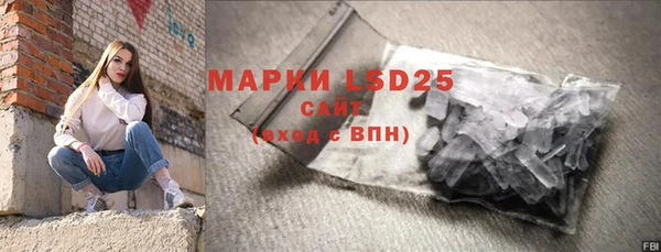 прущие грибы Шарыпово
