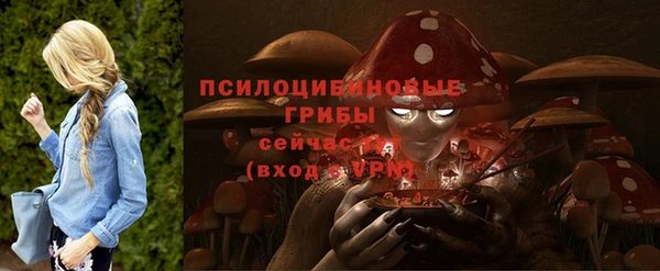 apvp Зеленодольск