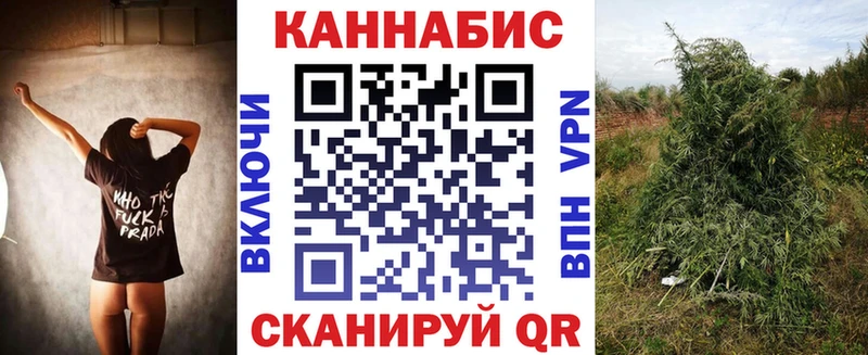 Купить где Куровское Конопля ГИДРОПОН